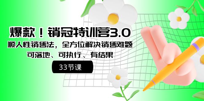 爆款！销冠特训营3.0之顺人性销售法，全方位解决销售难题、可落地-梦帆创业网