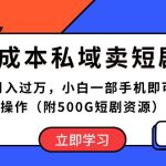 （10226期）0成本私域卖短剧，月入过万，小白一部手机即可操作（附500G短剧资源）-梦帆创业网