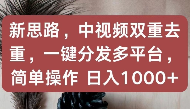 新思路，中视频双重去重，一键分发多平台，简单操作，日入1000+-梦帆创业网