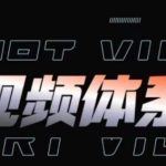 短视频完整知识体系课，一次性搞懂短视频，运营手法、内容制作、投放技巧项目玩法-梦帆创业网