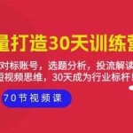 实体流量打造30天训练营：个人定位，对标账号，选题分析，投流解读（70节）-梦帆创业网