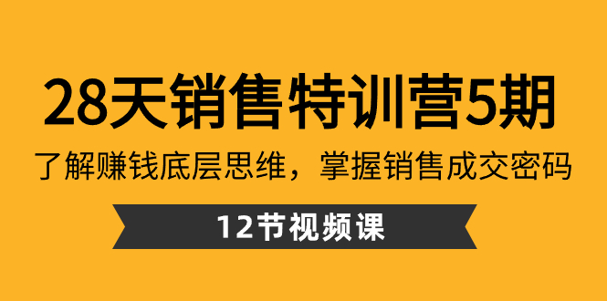 28天·销售特训营5期：了解赚钱底层思维，掌握销售成交密码（12节课）-梦帆创业网
