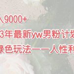 月入9000+2023年9月最新yw男粉计划绿色玩法——人性之利益-梦帆创业网