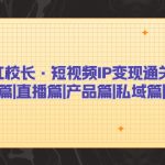 网红校长·短视频IP变现通关秘笈：短视频篇+直播篇+产品篇+私域篇+商业模式-梦帆创业网