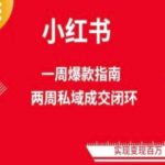 爆款小红书免费流量体系课程(两周变现)，小红书电商教程-梦帆创业网