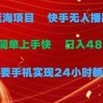 （9937期）蓝海项目，快手无人播剧，一天收益4800+，手机也能实现24小时躺赚，无脑…-梦帆创业网
