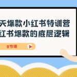 21天-爆款小红书特训营，小红书爆款的底层逻辑（8节课）-梦帆创业网