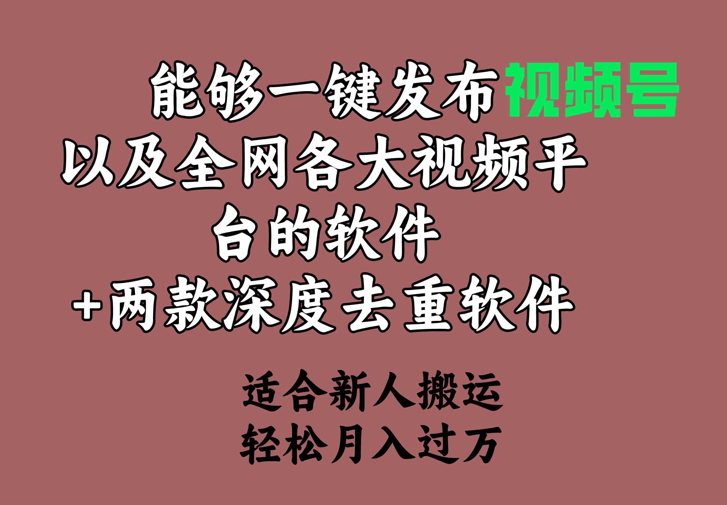 （9319期）能够一键发布视频号以及全网各大视频平台的软件+两款深度去重软件 适合…-梦帆创业网