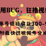 全网独家首发，视频号BUG，超短期项目，单号每日净收益300-5000！-梦帆创业网