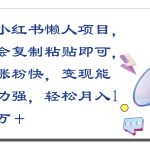 小红书懒人项目，会复制粘贴即可，涨粉快，变现能力强，轻松月入1万＋-梦帆创业网