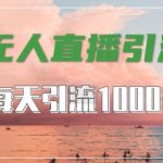 抖音快手视频号全平台通用，无人直播引流法，超暴力引流1000+高质量精准创业粉【揭秘】-梦帆创业网