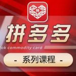 2024拼多多系列课，【基础】【运营】【活动】【推广】【玩法】5大模块-梦帆创业网