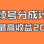 全新蓝海 视频号掘金计划 日入2000+-梦帆创业网