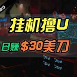 （10013期）日赚30美刀，2024最新海外挂机撸U内部项目，全程无人值守，可批量放大-梦帆创业网