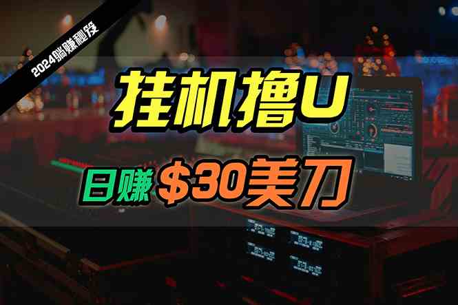 （10013期）日赚30美刀，2024最新海外挂机撸U内部项目，全程无人值守，可批量放大-梦帆创业网