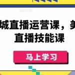 美业同城直播运营课，美业实体直播技能课-梦帆创业网