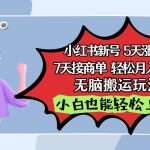 小红书影视泥巴追剧5天涨千粉7天接商单轻松月入过万无脑搬运玩法，小白也能轻松上手-梦帆创业网