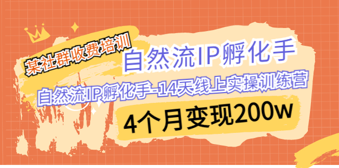 某社群收费培训：自然流IP 孵化手-14天线上实操训练营 4个月变现200w-梦帆创业网