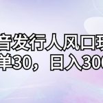 （12874期）抖音发行人风口玩法，一单30，日入3000+-梦帆创业网