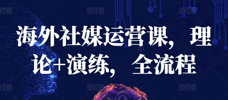 海外社媒运营课，理论+演练，全流程-梦帆创业网