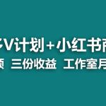 【蓝海项目】多多v计划+小红书商单 一个视频三份收益 工作室月入10w-梦帆创业网