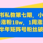 小红书私教第七期，小红书90天涨粉18w，1周涨粉破万，半年矩阵号粉丝破百万-梦帆创业网