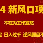 2024新风口项目，不在为工作发愁，长期稳定，日入过千 逆风翻盘不是梦-梦帆创业网