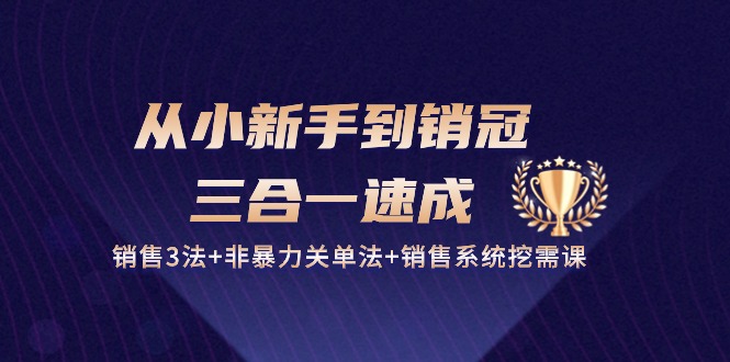从小新手到销冠三合一速成：销售3法+非暴力关单法+销售系统挖需课 (27节)-梦帆创业网