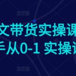 Ai图文带货实操课，新手从0-1 实操课-梦帆创业网