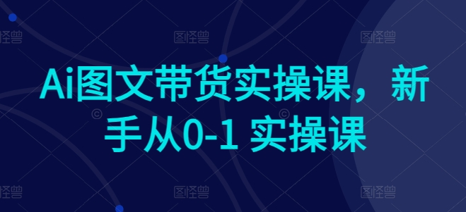 Ai图文带货实操课，新手从0-1 实操课-梦帆创业网
