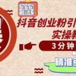 轻松制作创业类视频，一天被动加精准创业粉500+【揭秘】-梦帆创业网