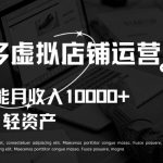 拼多多虚拟店铺运营小白也能月收入10000+-梦帆创业网