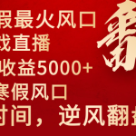 2024年最火寒假风口项目 小游戏直播 单场收益5000+抓住风口 一个月直接提车-梦帆创业网