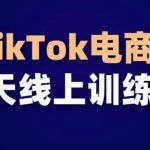 TikTok电商带货30天线上课，不可错过的全球流量洼地！-梦帆创业网