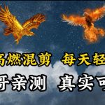 动物超燃混剪，每天轻松5张，剪辑简单大家爱看-梦帆创业网