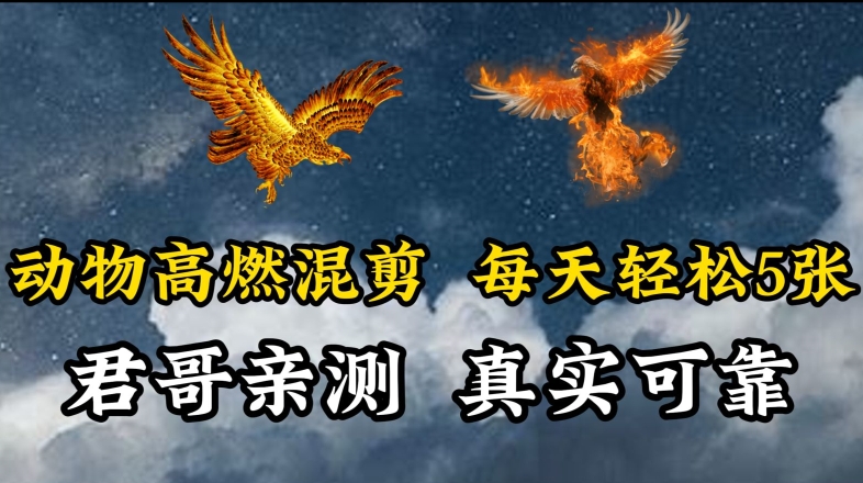 动物超燃混剪，每天轻松5张，剪辑简单大家爱看-梦帆创业网