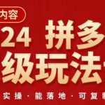 2024拼多多超级玩法课，​让你的直通车扭亏为盈，降低你的推广成本-梦帆创业网