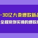 （9944期）亚马逊30亿·大卖爆款新品推广，可复制、全程案例实操的爆款推新SOP-梦帆创业网