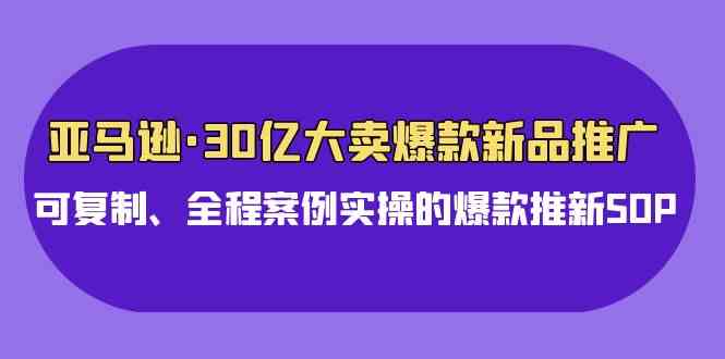 （9944期）亚马逊30亿·大卖爆款新品推广，可复制、全程案例实操的爆款推新SOP-梦帆创业网