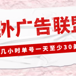 外面收费1980最新国外LEAD广告联盟搬砖项目，单号一天至少30美金(详细教程)-梦帆创业网