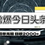 撸爆今日头条 简单无脑操作 日收2000+-梦帆创业网