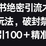 小红书绝密引流术2.0升级玩法,破封禁,轻松日引100+精准流量-梦帆创业网