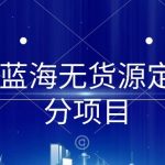 淘宝蓝海无货源定制细分项目，从0到起店实操全流程-梦帆创业网