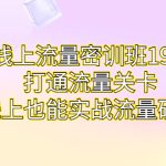 线上流量密训班19.0，打通流量关卡，线上也能实战流量破局-梦帆创业网