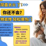 小红书AI宠物卖惨打工项目，一键生成轻松爆热门，专撩温柔多金小姐姐，私域转化率超高-梦帆创业网