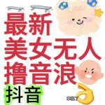 抖音最新收费2980美女无人撸音浪日收益几百到几千（详细教程玩法）-梦帆创业网