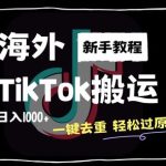2024最新海外TikTok搬运玩法，一键去重轻松过原创，新手无经验也能日入1k【揭秘】-梦帆创业网