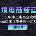 跨境电商新蓝海：OZON本土电商全攻略，选品优化订单处理一网打尽-梦帆创业网