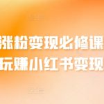 小红书涨粉变现必修课，带你玩赚小红书变现-梦帆创业网