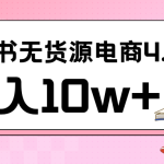 小红书新电商实战 无货源实操从0到1月入10w+ 联合抖音放大收益-梦帆创业网